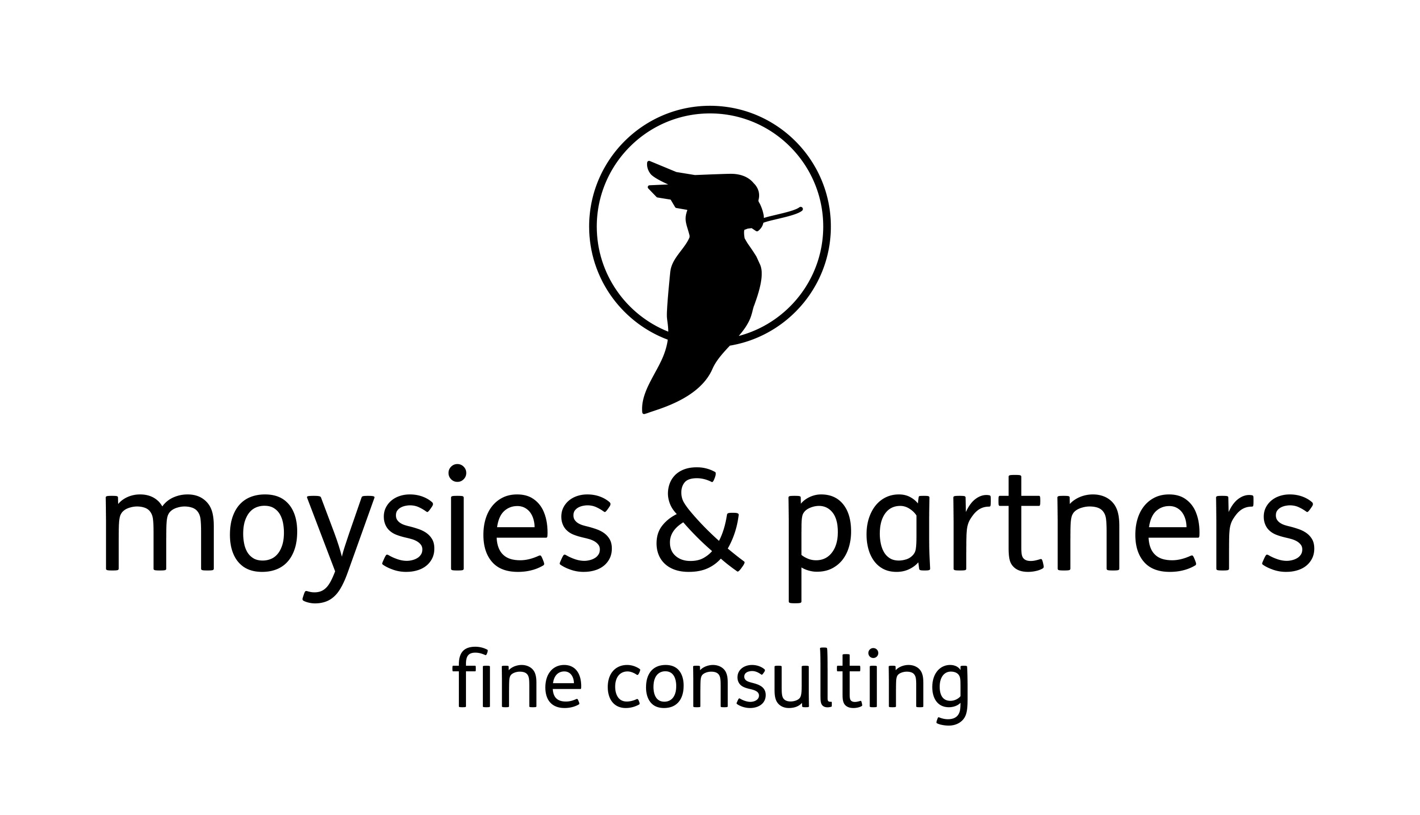 moysies & partners AG